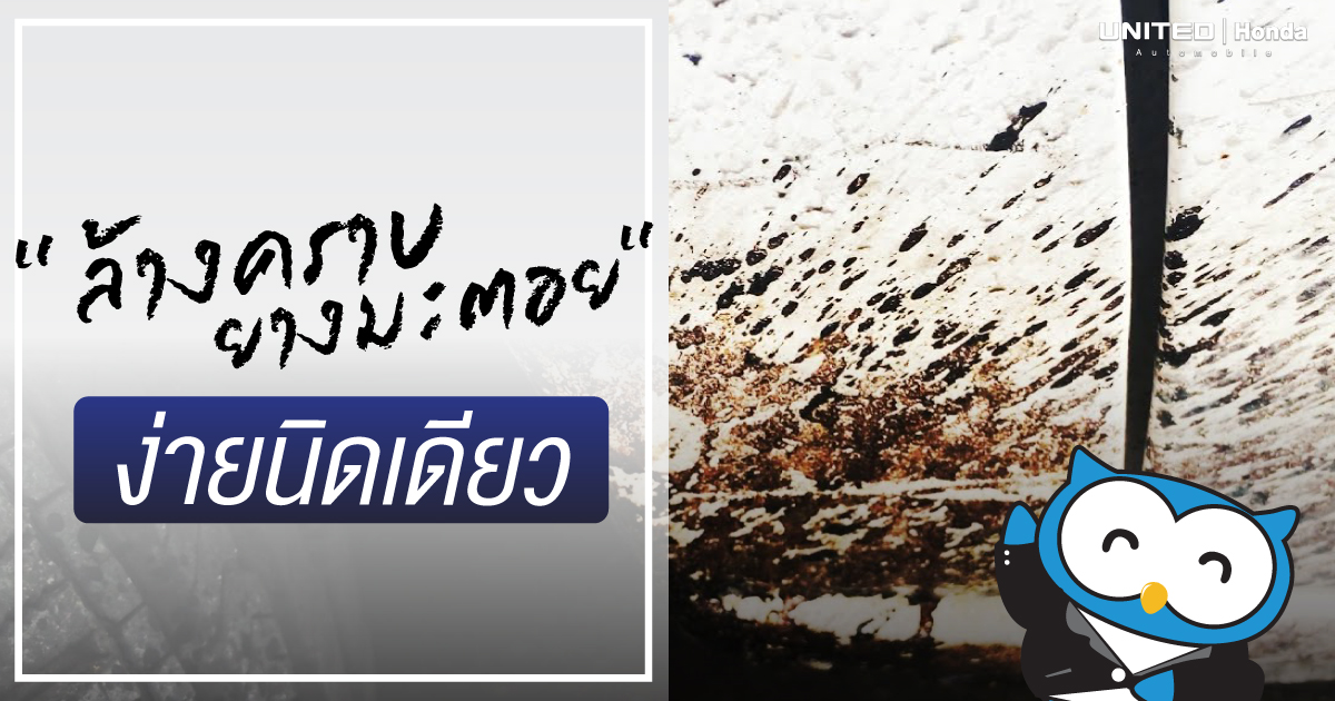 ทำเองง่ายนิดเดียว! เพียงใช้อุปกรณ์ไม่กี่อย่างและหาซื้อง่ายในการ “ล้างคราบยางมะตอย”
