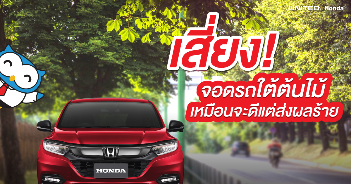 จอดรถใต้ต้นไม้ มีความเสี่ยงที่จะเกิดอันตราย! ส่งผลร้ายมากกว่าที่คิด