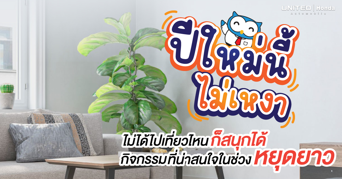 ไม่เหงาแน่นอน กับกิจกรรมยามว่างในช่วงเทศกาลปีใหม่แบบนี้