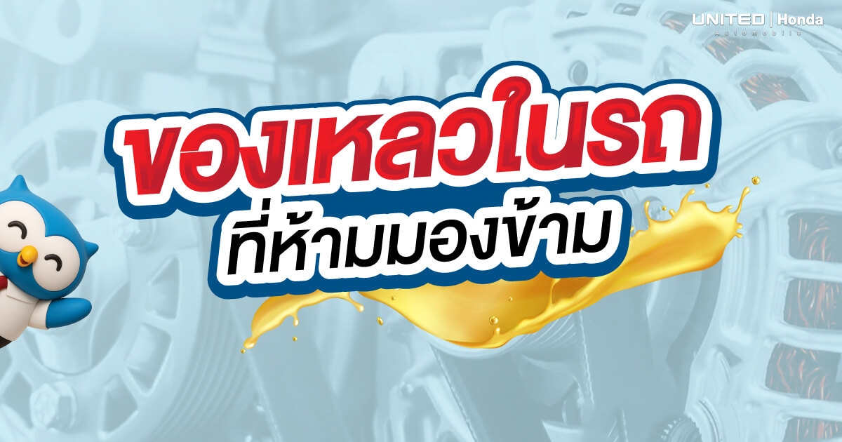 ของเหลวในรถยนต์ที่ต้องเช็ก! สรุปครบ 6 จุดสำคัญ ขับขี่ปลอดภัย ลดค่าซ่อมบำรุง
