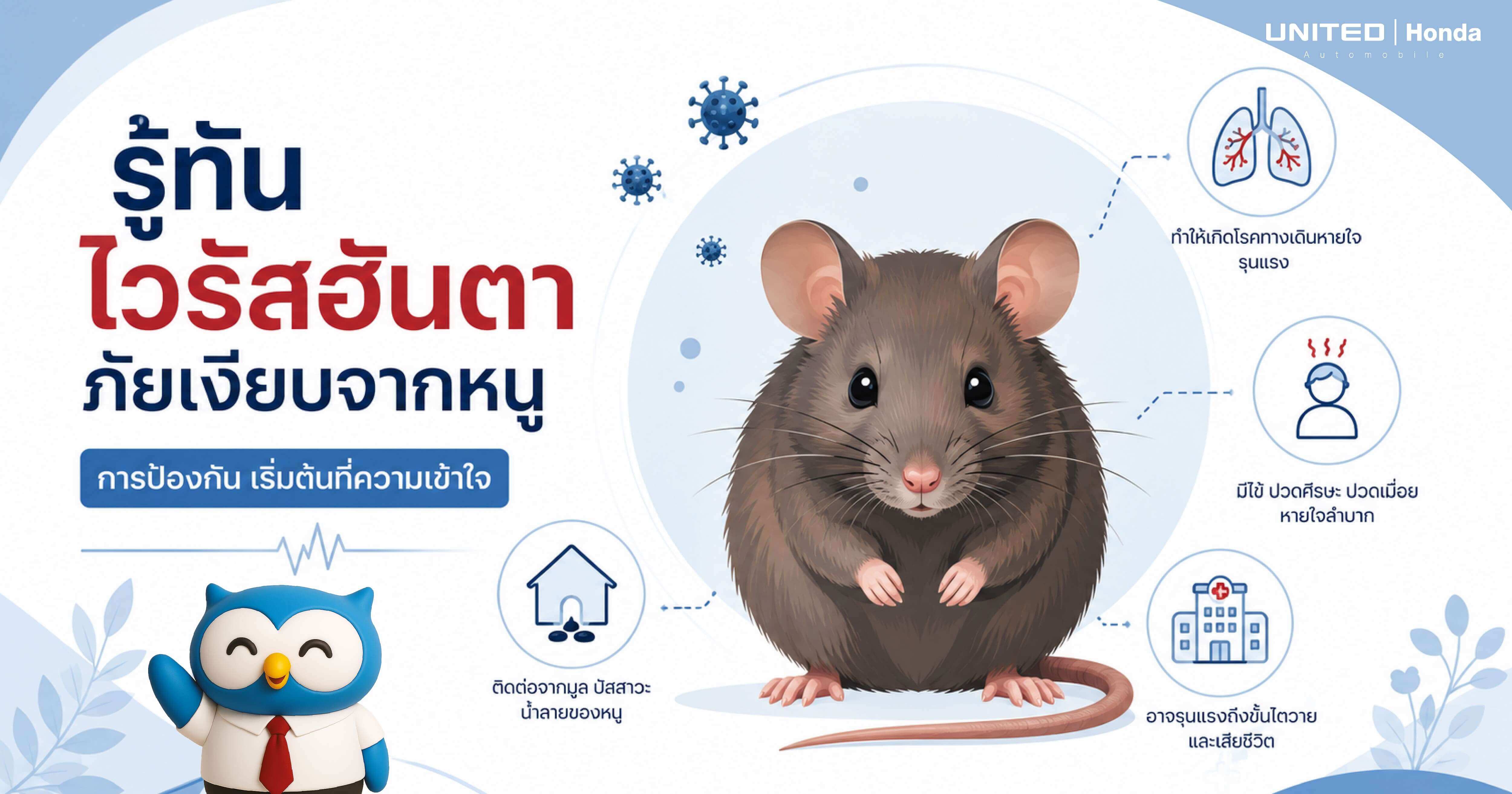รู้ทันไวรัสฮันตาภัยเงียบจากหนู การป้องกันเริ่มต้นที่ความเข้าใจ: อาการ วิธีติดต่อ และแนวทางรักษาล่าสุดปี 2569