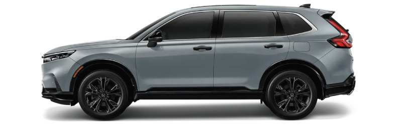 เทาเออร์เบิน (มุก)