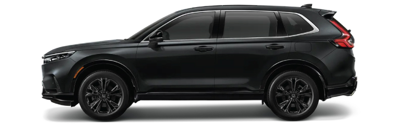 ดำคริสตัล (มุก)